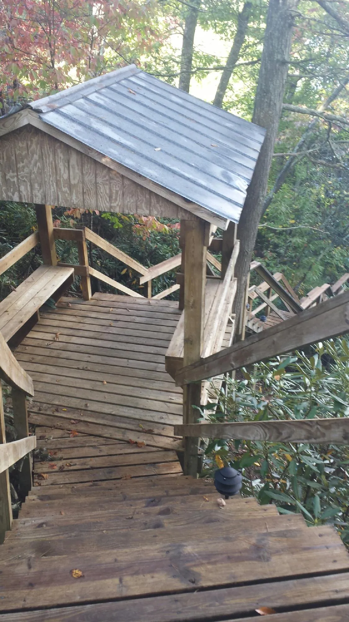 Metal roofed shelter over wooden steps on a wooded walkway — Skylight Repair & Installation work by our crew in Belspring